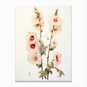 Pressed Flower Botanical Art Hollyhock 1 Canvas Print