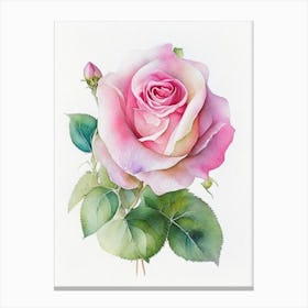 Rose Wildflower Watercolour 2 Canvas Print