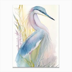 Pacific Reef Heron Gouache 1 Canvas Print