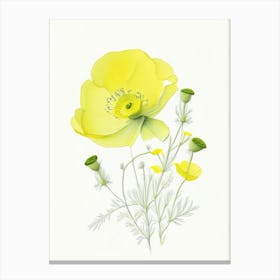 Buttercup Floral Quentin Blake Inspired Illustration 1 Flower Canvas Print