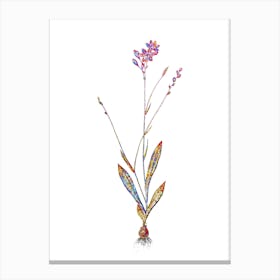 Stained Glass Gladiolus Junceus Mosaic Botanical Illustration on White n.0140 Canvas Print