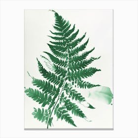 Green Ink Painting Of A Rabbits Foot Fern 1 Canvas Print