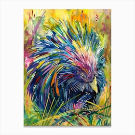 Porcupine Colourful Watercolour 4 Canvas Print