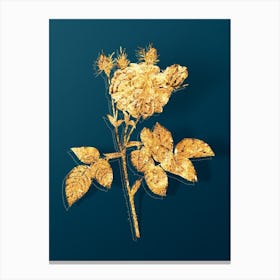 Vintage Pink Agatha Rose Botanical in Gold on Teal Blue n.0114 Canvas Print