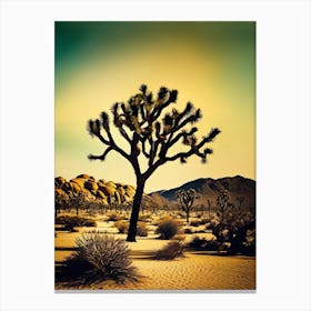 Joshua Tree In The Desert 1 Canvas Print