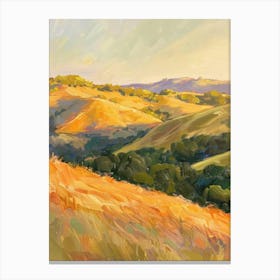 Sunset In The Hills 2 Canvas Print