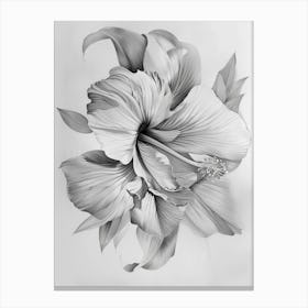 Hibiscus Flower 3 Canvas Print