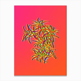 Neon Common Sea Buckthorn Botanical in Hot Pink and Electric Blue n.0230 Canvas Print