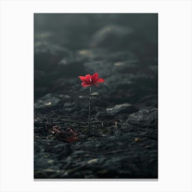 Single Red Flower 17 Canvas Print