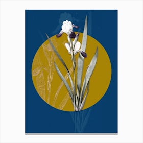 Vintage Botanical Tall Bearded Iris on Circle Yellow on Blue 1 Canvas Print
