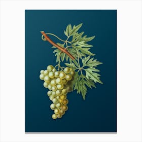 Vintage Grape Vine Botanical Art on Teal Blue n.0329 Canvas Print
