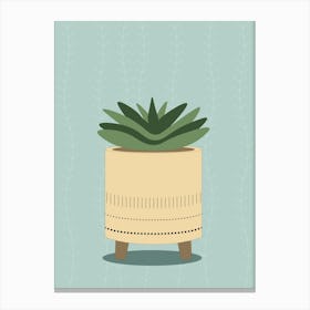 Potted Succulent Canvas Print