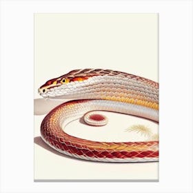 Corn Snake 1 Vintage Canvas Print