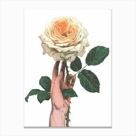 English Roses Painting Rose In A Hand 4 Canvas Print
