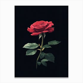 Red Rose 17 Canvas Print