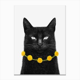 Black Cat With Dandelions Canvas Print