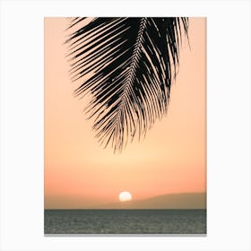 Warm Hawaii Sunset Canvas Print