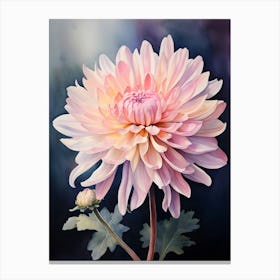 Pink Chrysanthemum Canvas Print