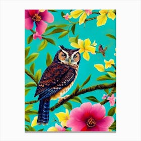 Eastern Screech Owl Tropical bird Canvas Print