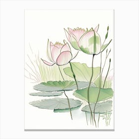 Lotus Flowers In Park Pencil Illustration 5 Canvas Print