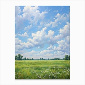 Field Of Daisies Canvas Print