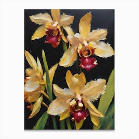 Vanda Orchids Oil Paintings 2 Canvas Print