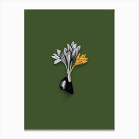 Vintage Autumn Crocus Black and White Gold Leaf Floral Art on Olive Green n.0414 Canvas Print