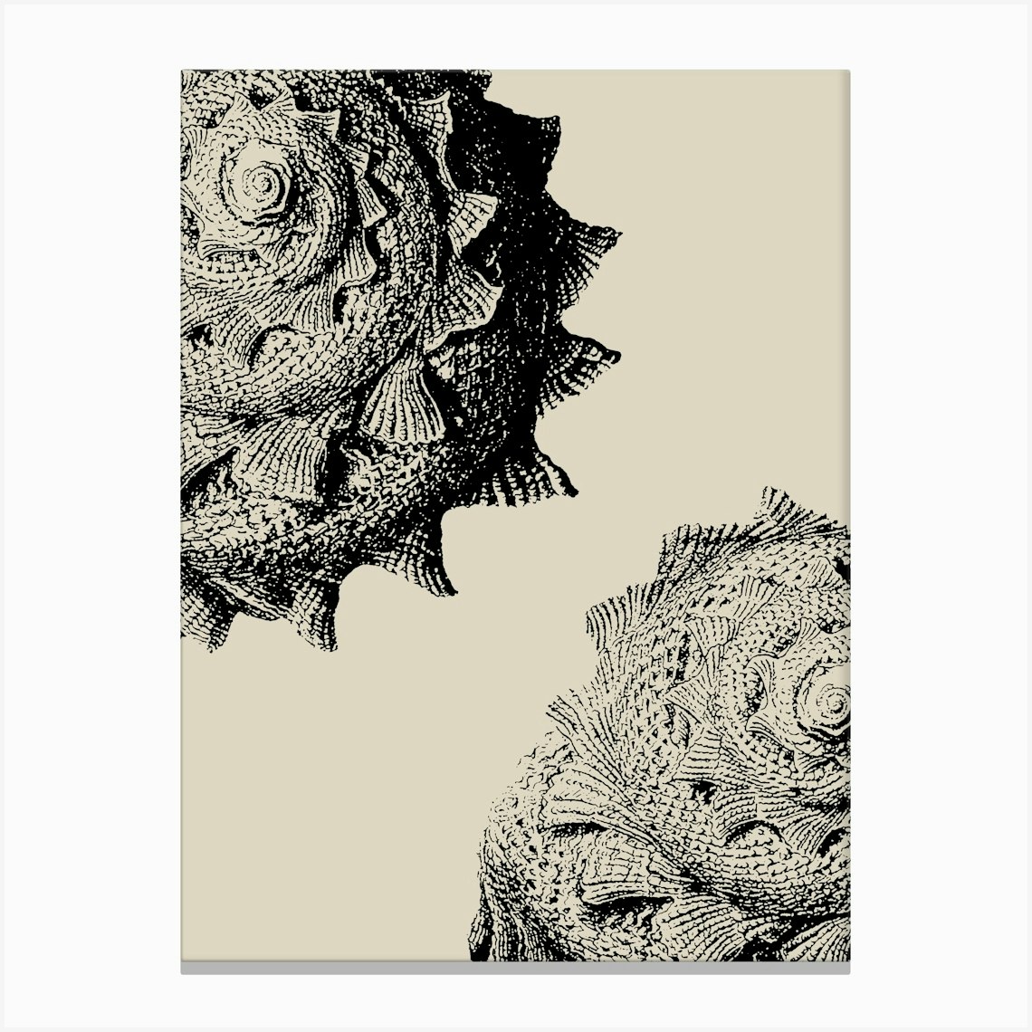 Seashell in Black, Beach Decor, Minimalist Coastal Art 1 Lienzo