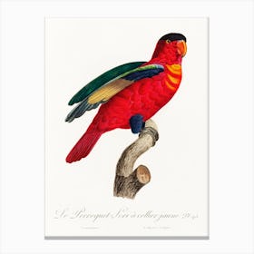 The Purple Naped Lory From Natural History Of Parrots, Francois Levaillant Canvas Print