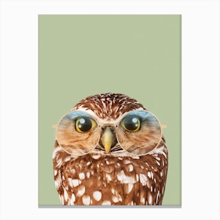 Hipster Owl Canvas Print