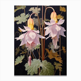 Flower Illustration Columbine 3 Canvas Print