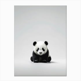 Panda Bear 1 Canvas Print