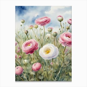 Ranunculus Canvas Print