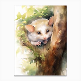Light Watercolor Painting Of A Sleeping Possum 4 Canvas Print