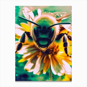 Bee On A Flower Surrealism Polaroid Motif Canvas Print