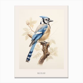 Vintage Bird Drawing Bluejay Poster Canvas Print