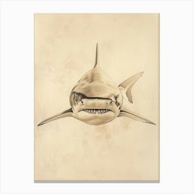 Vintage Bull Shark Pencil Illustration 2 Canvas Print