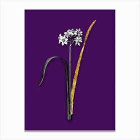 Vintage Cowslip Cupped Daffodil Black and White Gold Leaf Floral Art on Deep Violet n.1143 Canvas Print