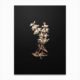 Gold Botanical Two Colored Collinsia Flower on Wrought Iron Black Canvas Print