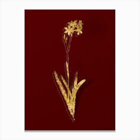 Vintage Corn Lily Botanical in Gold on Red n.0255 Canvas Print