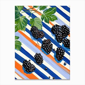 Blackcurrants Fruit Summer Illustration 4 Canvas Print