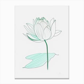 Water Lily Floral Minimal Line Drawing 1 Flower Canvas Print