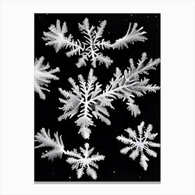 Fernlike Stellar Dendrites, Snowflakes, Black & White 2 Canvas Print