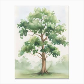Mahogany Tree Atmospheric Watercolour Painting 2 Canvas Print