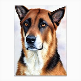 Belgian Malinois 3 Watercolour dog Canvas Print