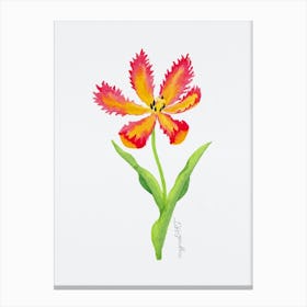 Tulip3 Canvas Print