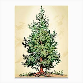 Yew Tree Storybook Illustration 4 Canvas Print