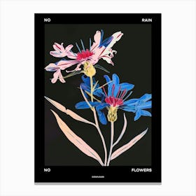 No Rain No Flowers Poster Cornflower 1 Canvas Print