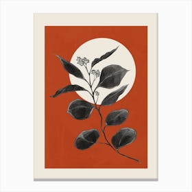 Beautiful Plant Leaves 2 Canvas Print