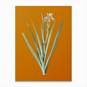 Vintage Stinking Iris Botanical on Sunset Orange n.0549 Canvas Print